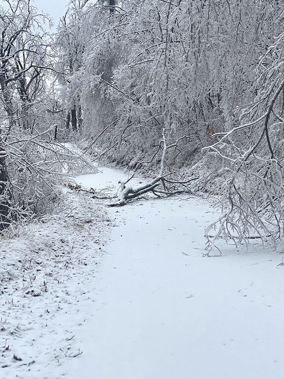2-18 Winter storms.jpg